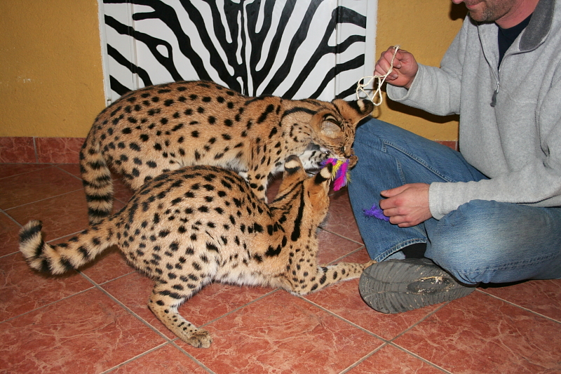 Killikus&reg; Fotographie